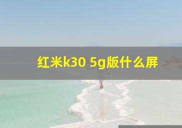 红米k30 5g版什么屏